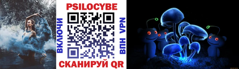Псилоцибиновые грибы Psilocybine cubensis  omg рабочий сайт  Тулун 